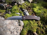 Pierre P. review photo