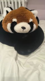 Wei C. review photo