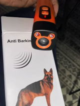 Amit M. review photo
