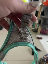 Cristina G. review photo