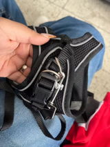Daniele G. review photo