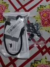 Petra W. review photo