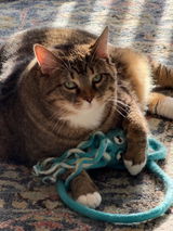 Ink Floyd - A Wool Octopus Toy for Cats