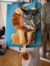 Jannate Majdi review photo