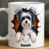Randyfincher review photo