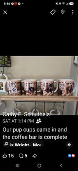 Cathy Schultheis review photo