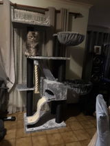 tristina motbey review photo