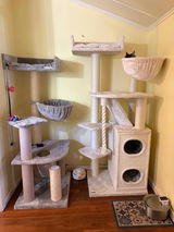 Jean Graham review photo