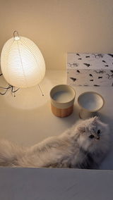 匿名 review photo