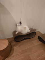 みー review photo