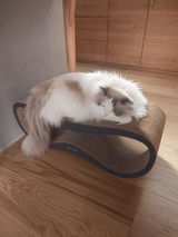 みー review photo