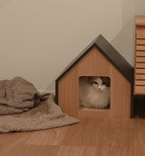 みー review photo
