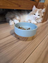 みー review photo