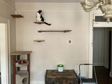 Matthew Hendrich review photo
