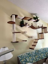 deb spanos review photo