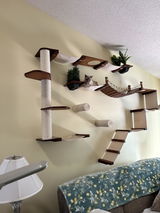 Deb Spanos review photo