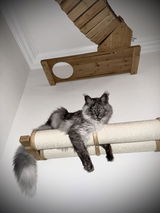 Lyuba review photo
