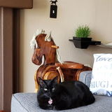 Etsy customer review photo