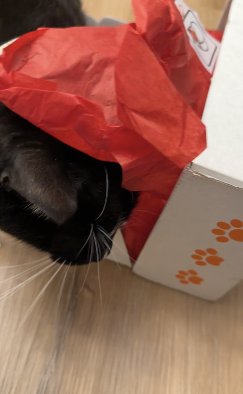 catbox