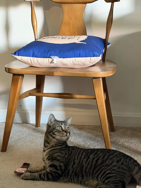 catbox