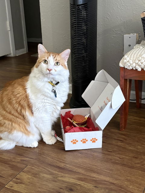 catbox