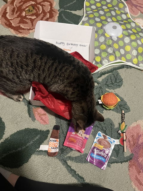 catbox