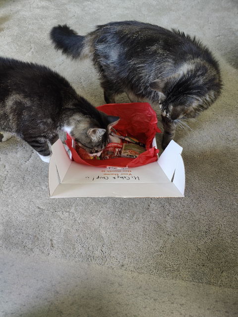 catbox