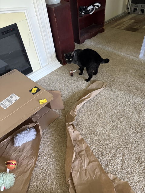 catbox