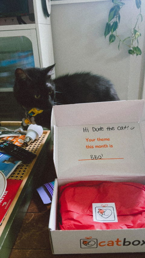 catbox