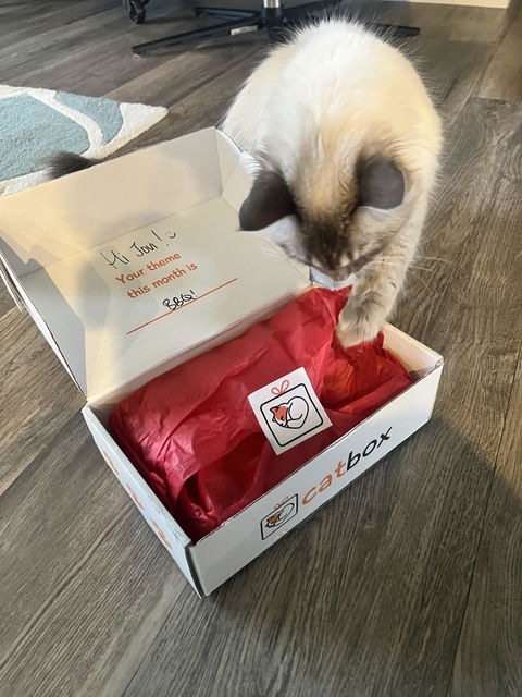 catbox