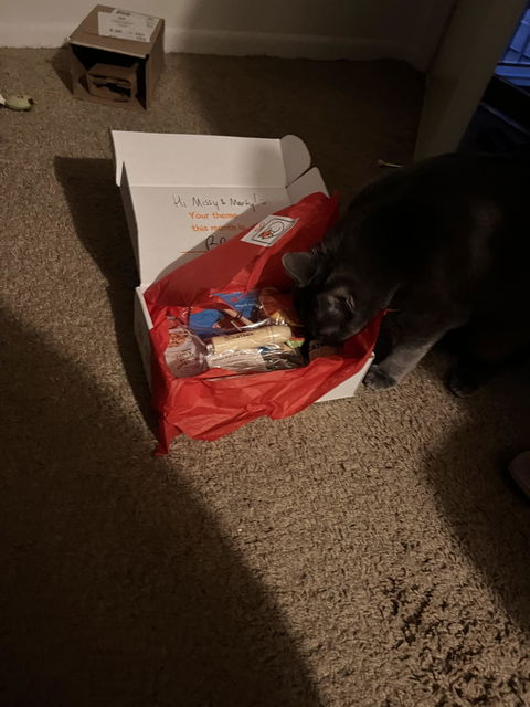 catbox
