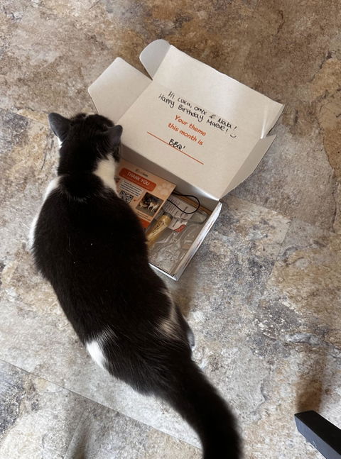 catbox