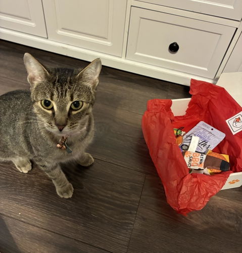 catbox