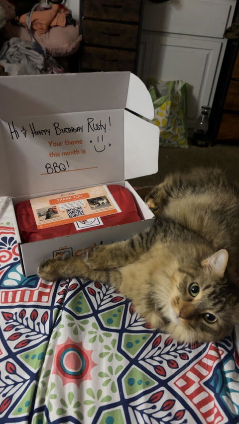 catbox