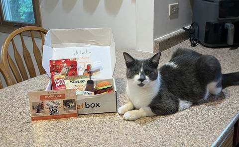 catbox