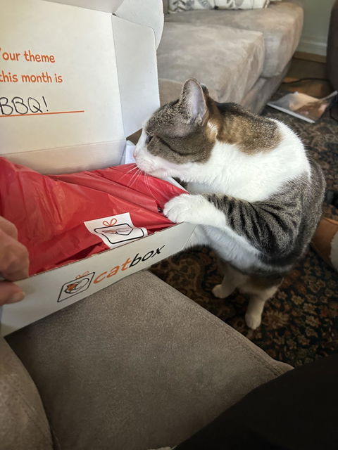catbox