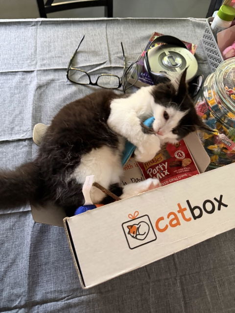 catbox