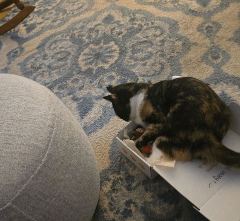 catbox