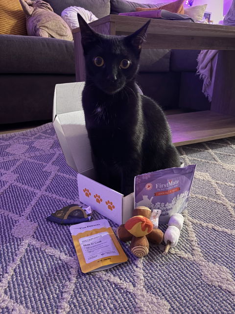 catbox