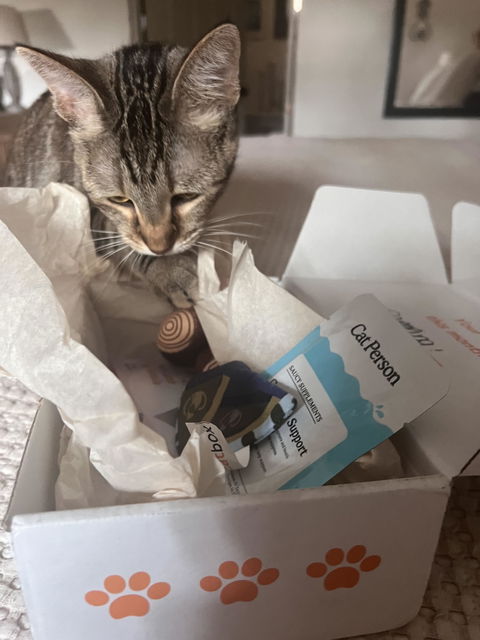 catbox