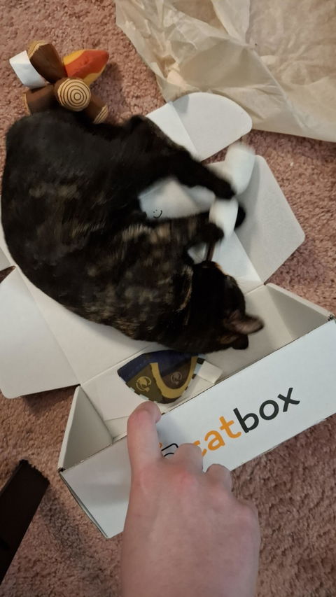 catbox