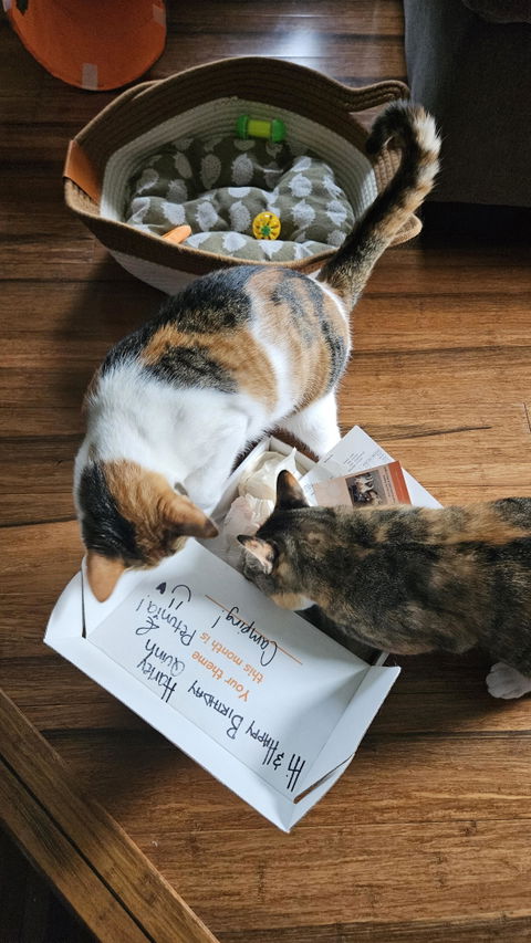 catbox