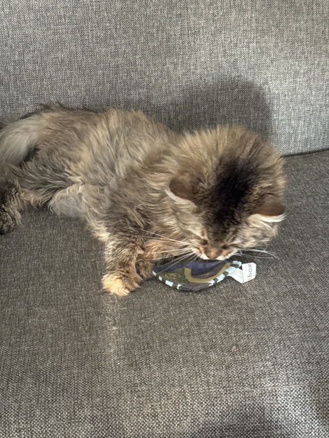 catbox