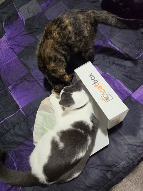 catbox