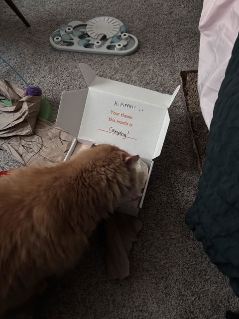 catbox