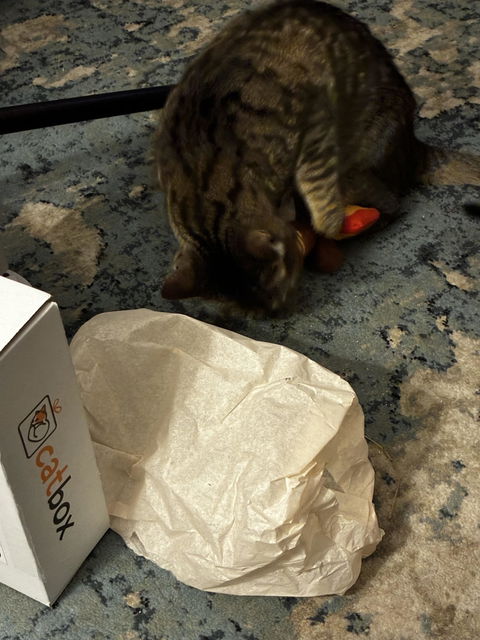 CatBox