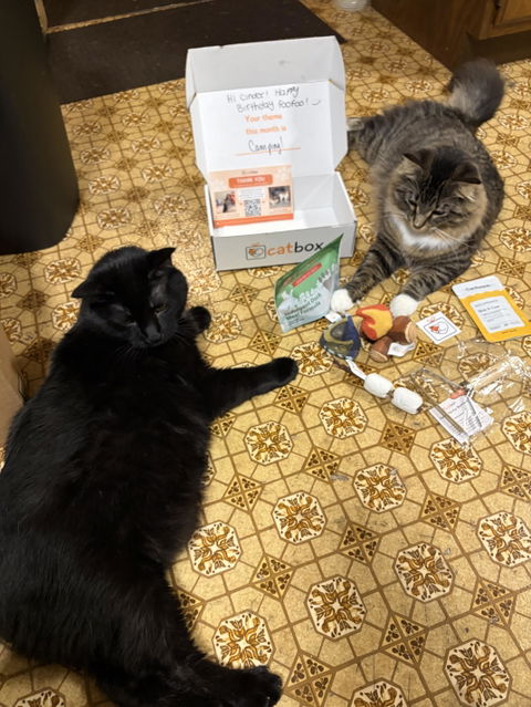 catbox