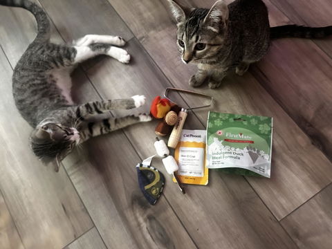 catbox