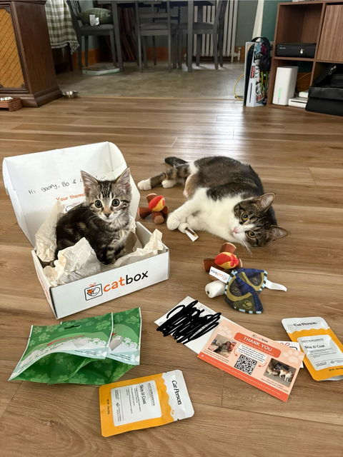 catbox