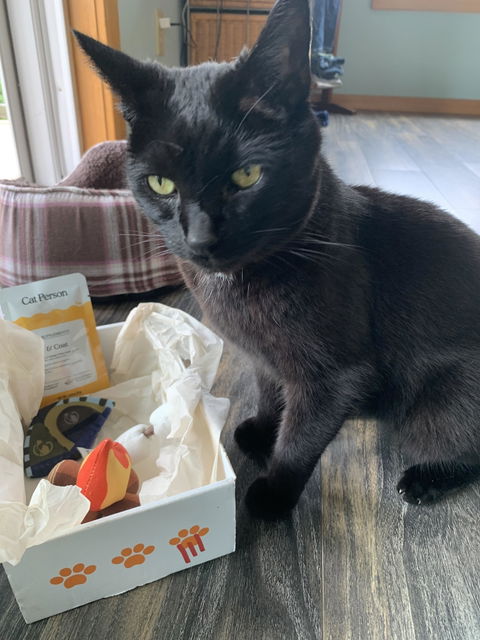 catbox